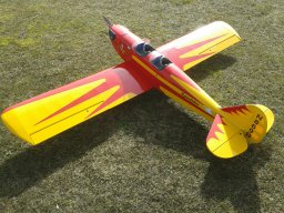 Modelle unserer Mitglieder